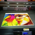 PP Corrugated Sheet for Digital Printing